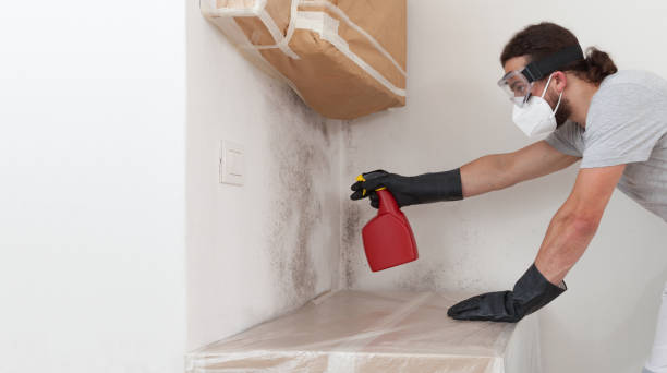 Professional Mold Remediation technician working in Teaneck, NJ