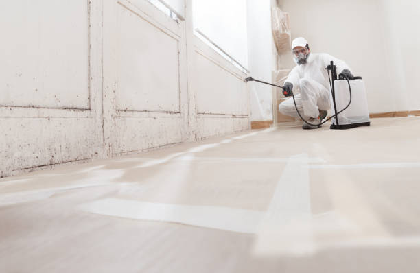 24/7 Emergency Mold Remediation experts in Teaneck, NJ
