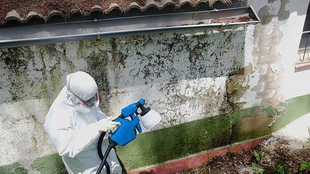 Top rated local Mold Remediation specialists in Teaneck, NJ